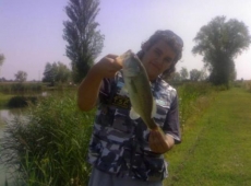 Un bel Black Bass