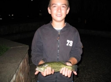 Black bass