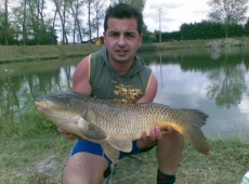 Carpa Regina
