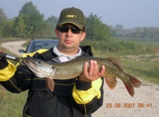 Luccio da 3.2 Kg