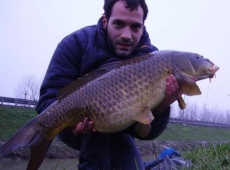 Carpa