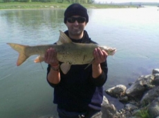 Barbo da 4kg circa