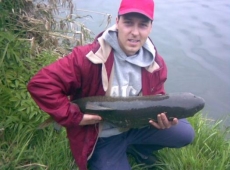 Amur di 1,05 mt