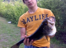 Black Bass 2.5 kg