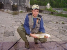 Marmorata da 1.8 kg