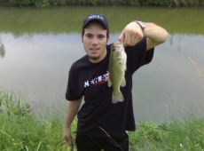 Black Bass