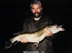 Luccio 12 kg Torrente Marcova