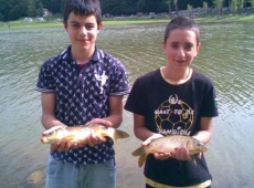 Carpa a Specchio