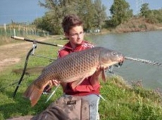 Carpa regina 13kg