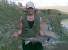 Storione 5kg