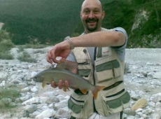 temolo 1.100kg