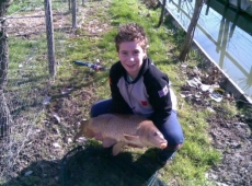 Carpa Regina 7.5 kg