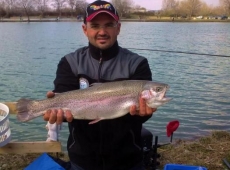 Trota Iridea 2.490kg