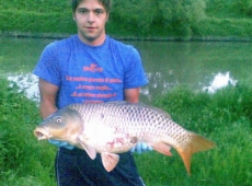 Carpa di circa 14 kg