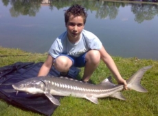 Storione di 14.5 kg