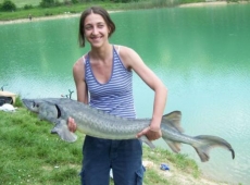Storione 13 kg
