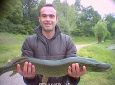 Luccio lago di Annone Eugenio