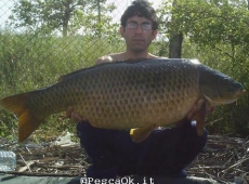 Carpa regina 20.50 kg Bolsena