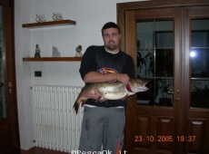 Luccio In Piemonte