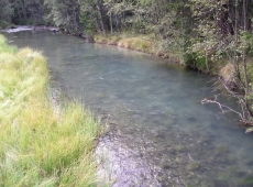 torrente anterselva