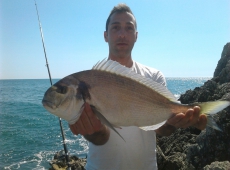 Orata-mare-costa-laziale-IMG_0025
