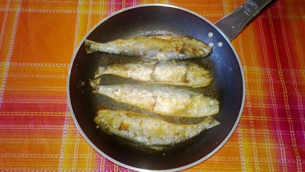 sarde di lago fritte