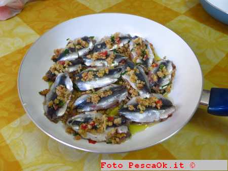 sarde 001