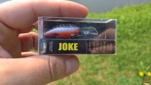 minnow joke kolpo