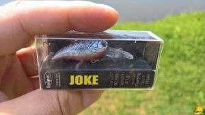 minnow joke kolpo2
