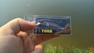 minnow tora kolpo