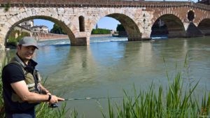 Urban Fishing Ponte pietra Verona