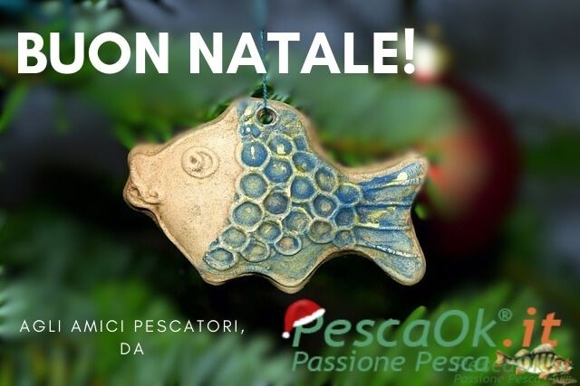 decorazione natalizia a forma di pesce per gli auguri di Natale di PescaOK
