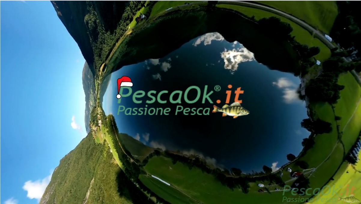 Banner introduttivo al video buon natale