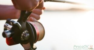 canna da pesca in mano ad un pescatore