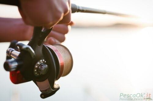 canna da pesca in mano ad un pescatore