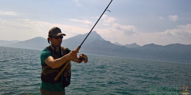alessio lago di garda 019 07 09 at 18.12.32 300x169 2