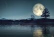 Chiaro di luna su un corso d'acqua con alberi al buio.