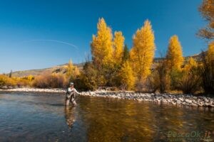 Pesca in autunno