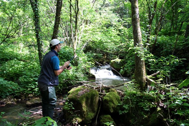 il suono della natura